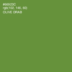 #66923C - Olive Drab Color Image